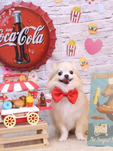 20230910小豆くん